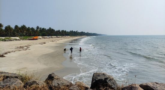 Chellanam Beach Kochi