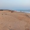 Chettikulam Beach