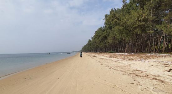 Muthupettai Cruz Fernandez Beach