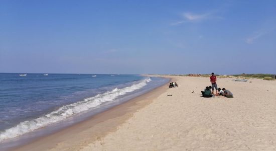 Dhanushkodi Beach II