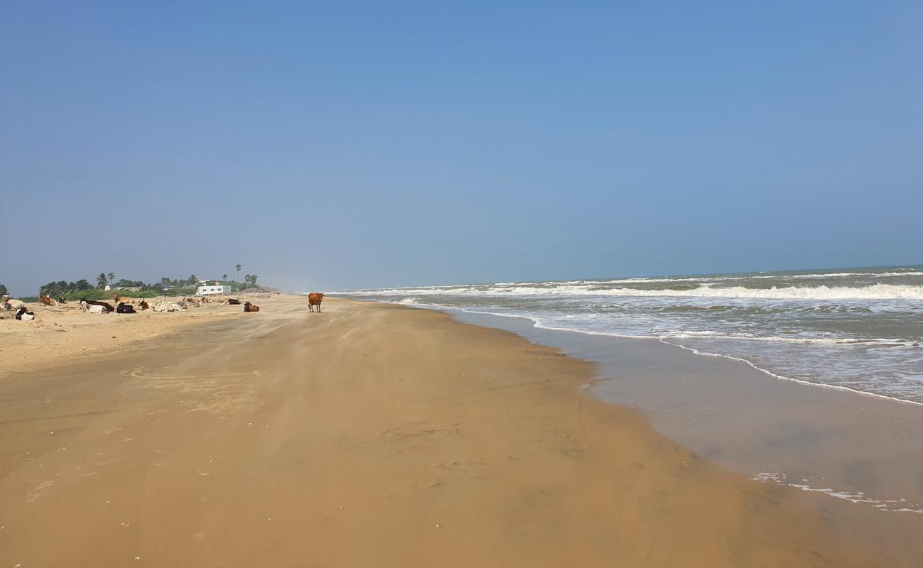 Photo de Beach Pines avec sable beige fin de surface