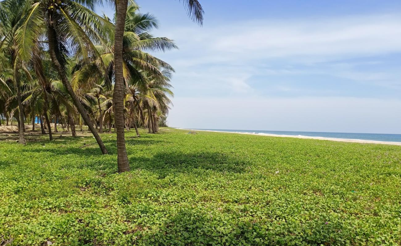 Photo de Narambai Beach Shore avec sable beige fin de surface