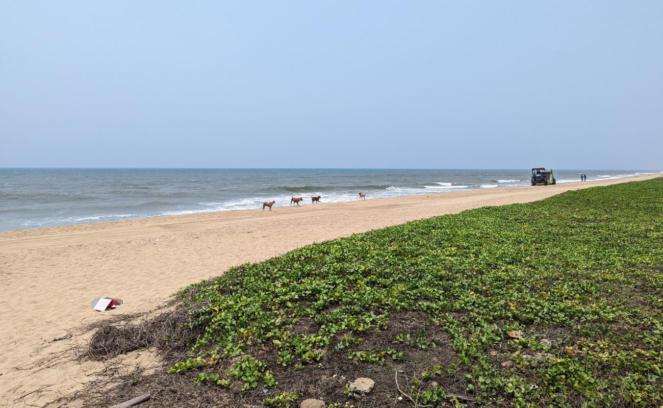 Photo de Panaiyur Beach ECR avec sable lumineux de surface