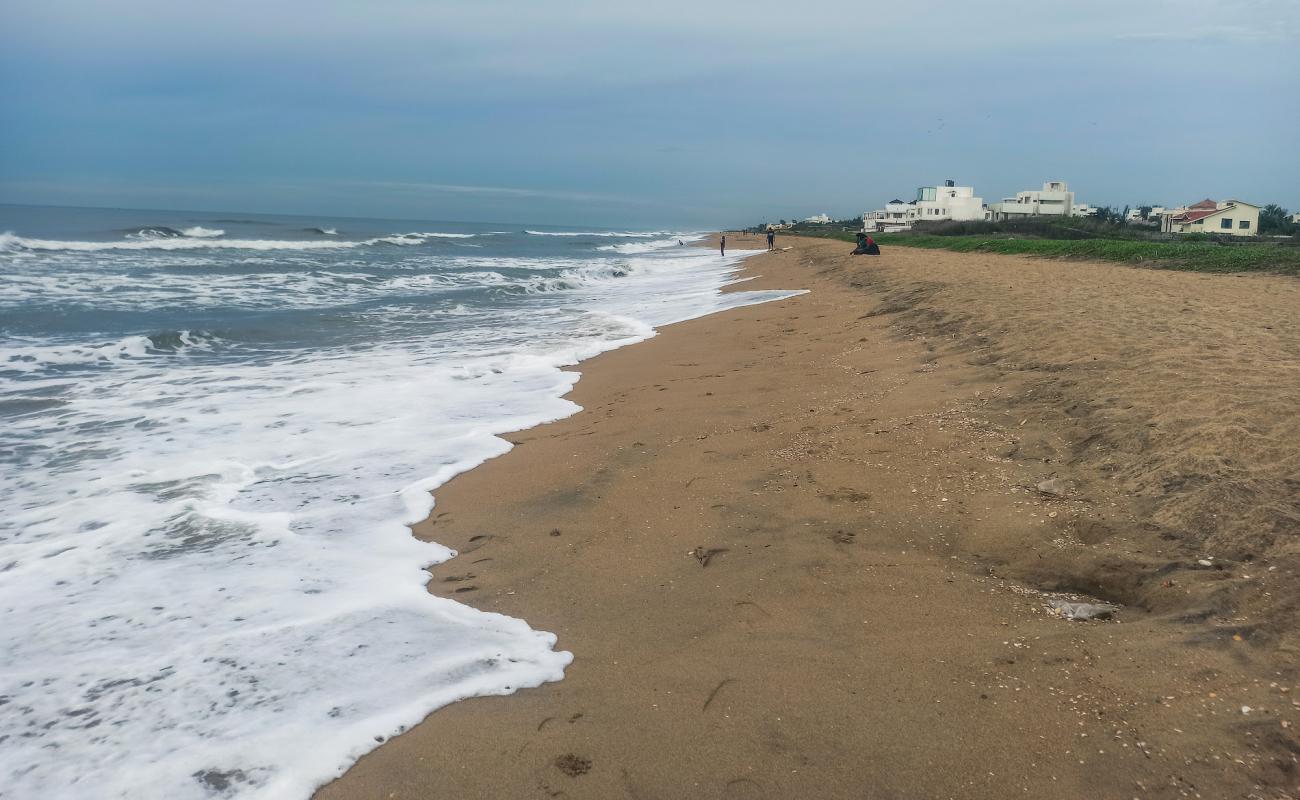 Photo de Olive Beach avec sable lumineux de surface