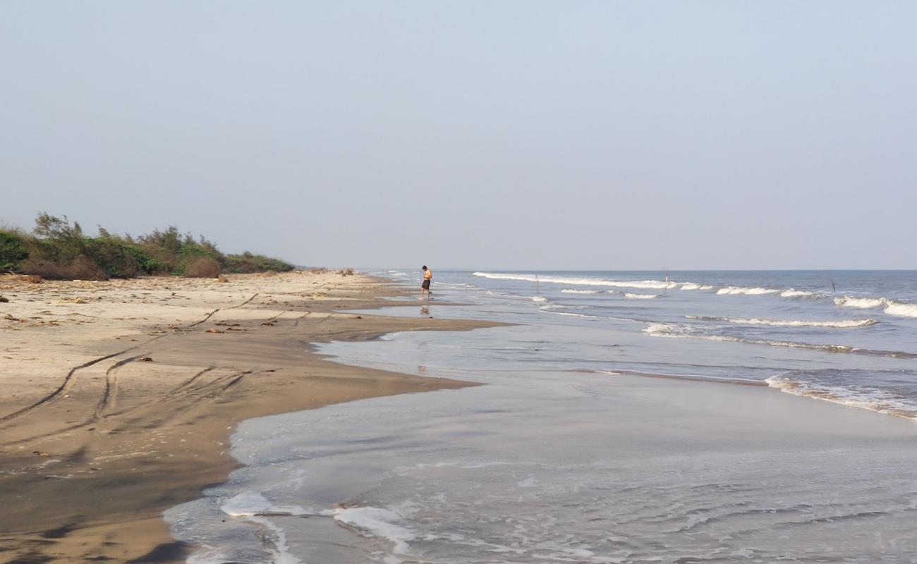 Photo de Lonely Beach avec sable lumineux de surface