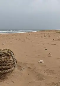 État de l'Andhra Pradesh