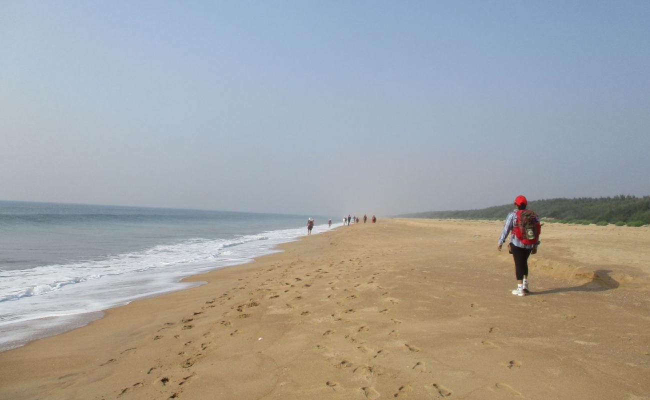 Photo de Purunabandha Sea Beach avec sable beige de surface