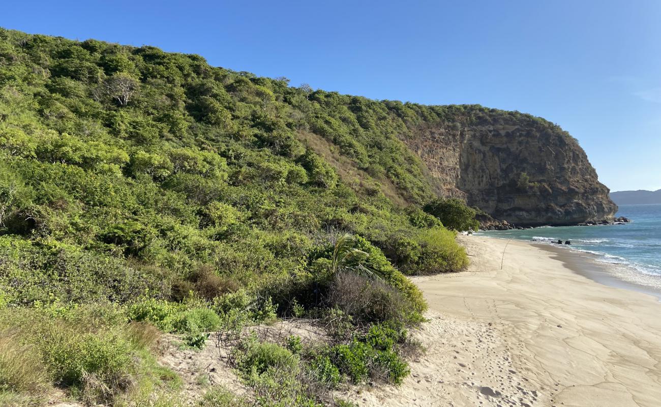 Photo de Pendoek Beach avec sable beige de surface