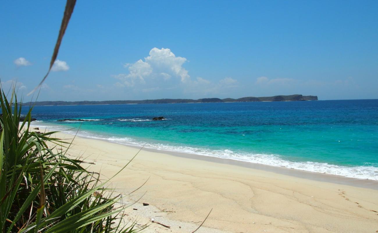 Photo de Bariendi Beach avec sable beige de surface