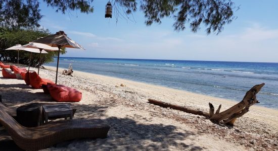 Gili Trawangan Turtle Shore