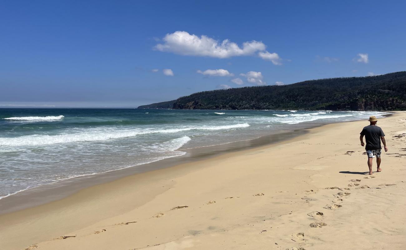 Photo de Wonboyn Beach avec sable beige de surface