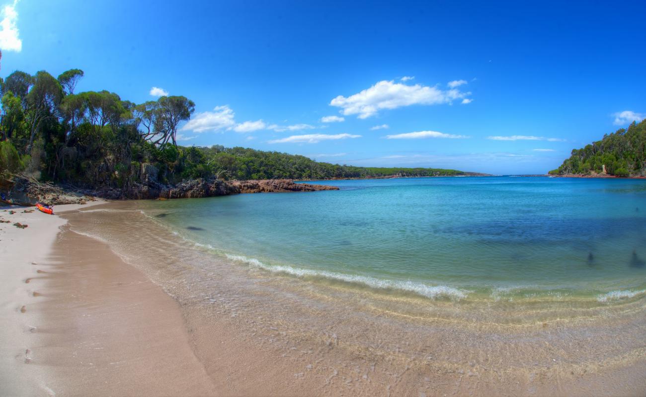 Photo de Bittangabee Bay avec sable beige de surface