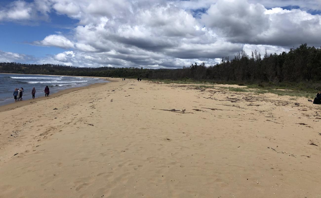 Photo de Boydtown Beach avec sable beige de surface