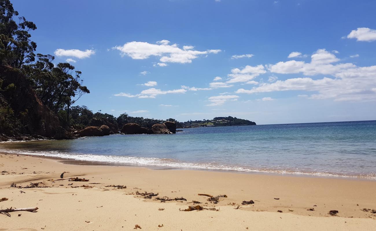 Photo de Bungo Beach avec sable beige de surface