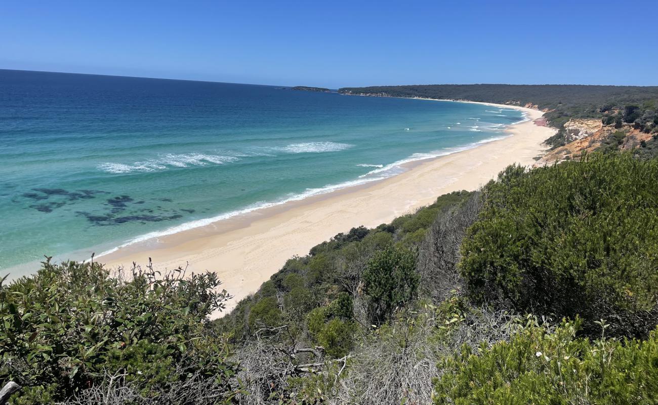 Photo de Pinnacles Beach avec sable beige de surface