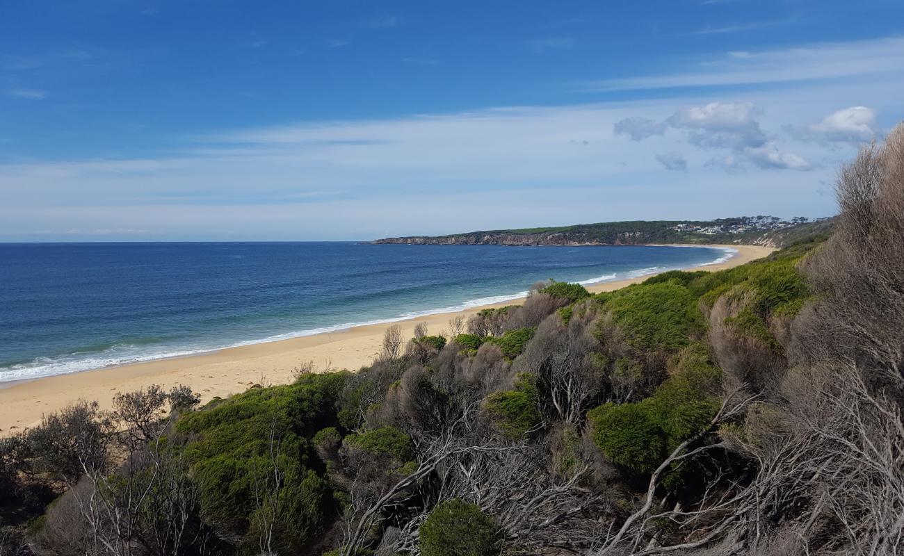 Photo de Bournda Beach avec sable beige de surface
