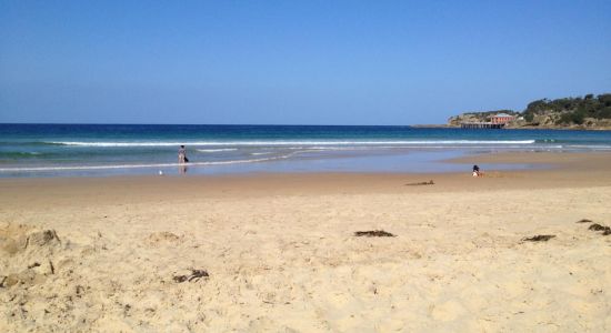 Tathra Beach