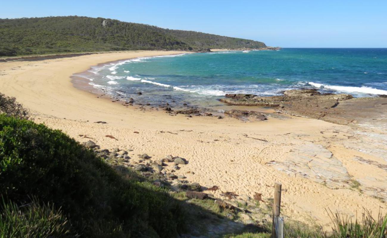 Photo de Picnic Beach avec sable beige de surface