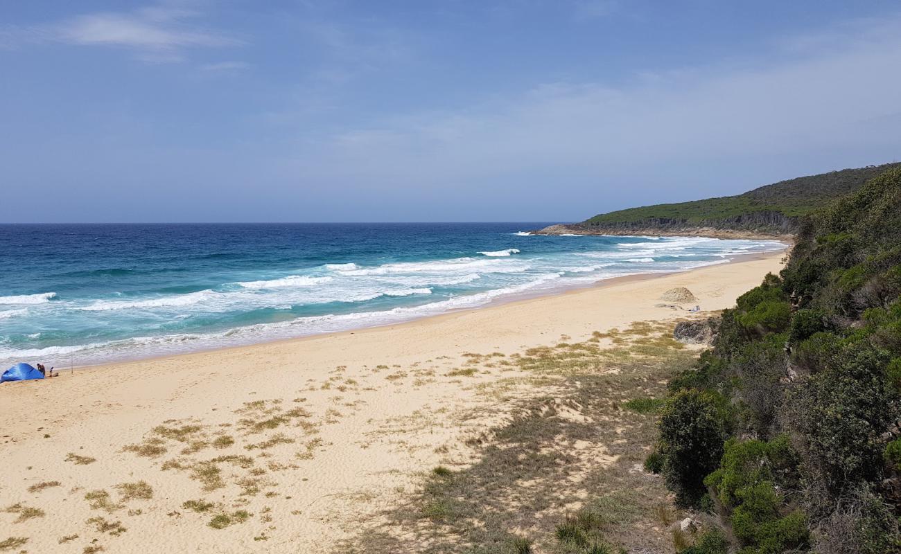 Photo de Aragunnu Beach avec sable beige de surface