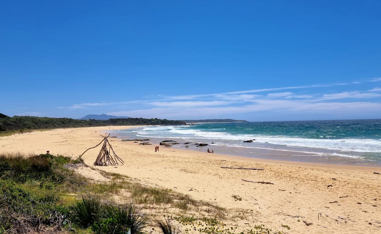 Photo de Cuttagee Beach avec sable lumineux de surface