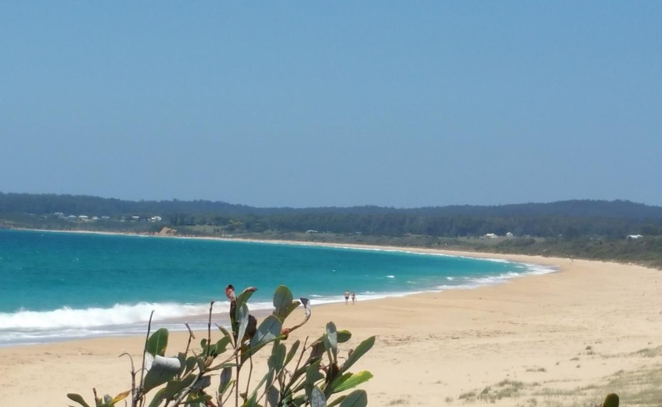 Photo de Wallaga Beach avec sable lumineux de surface