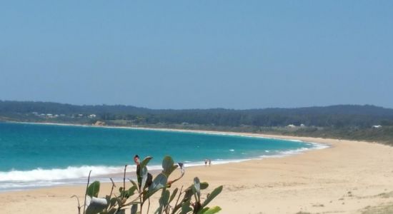 Wallaga Beach