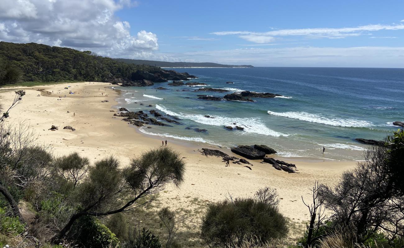 Photo de Mystery Bay Beach avec sable lumineux de surface