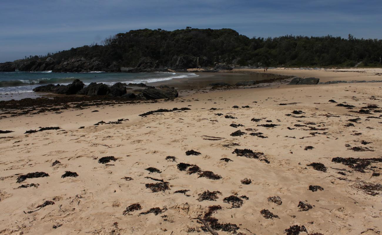 Photo de Mystery Beach avec sable lumineux de surface