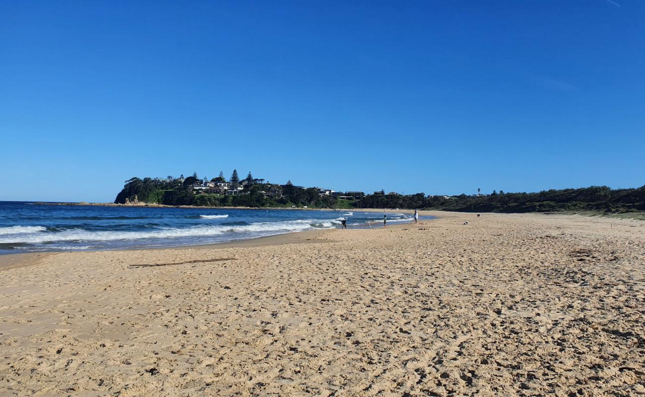 Photo de Potato Point Beach avec sable lumineux de surface