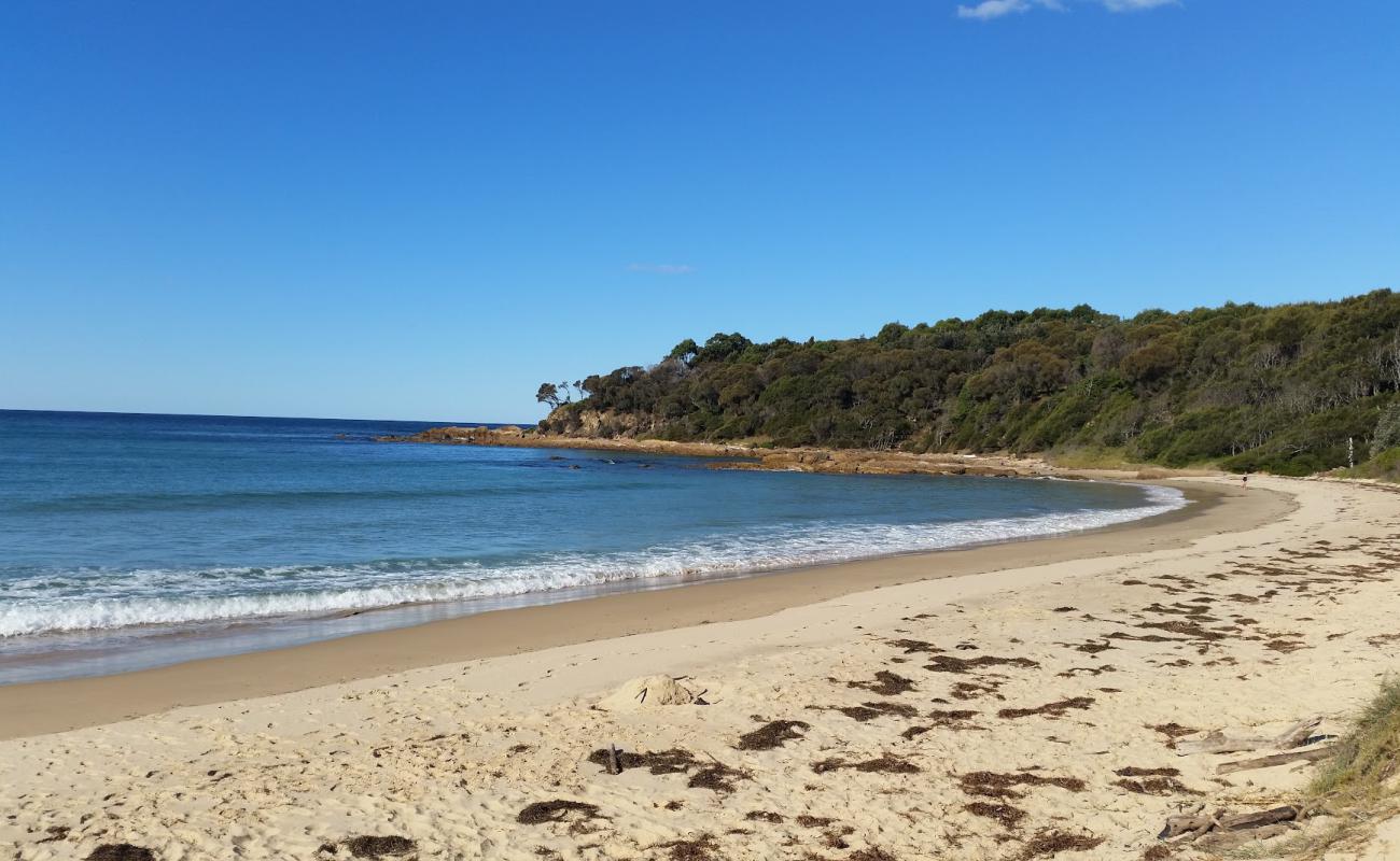 Photo de Shelly Beach avec sable lumineux de surface