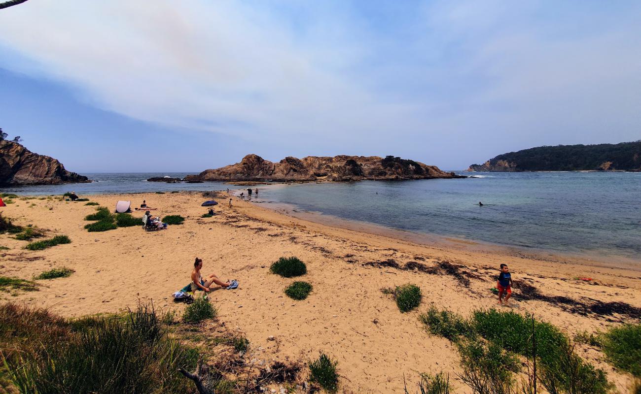 Photo de Guerilla Small Beach avec sable lumineux de surface