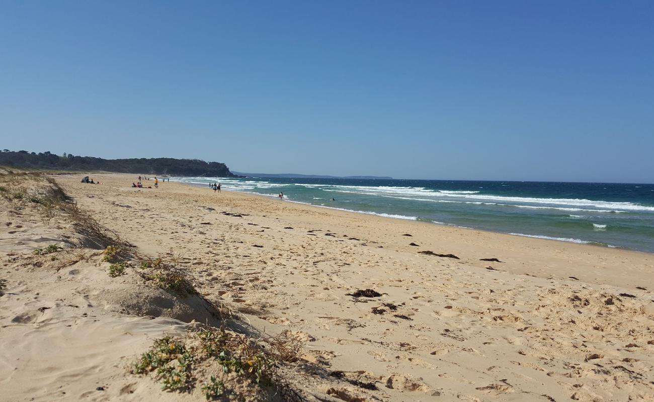 Photo de Rosedale Beach avec sable beige de surface
