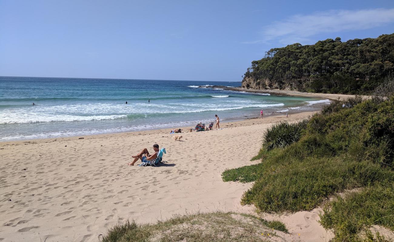 Photo de Mckenzies Beach avec sable beige de surface