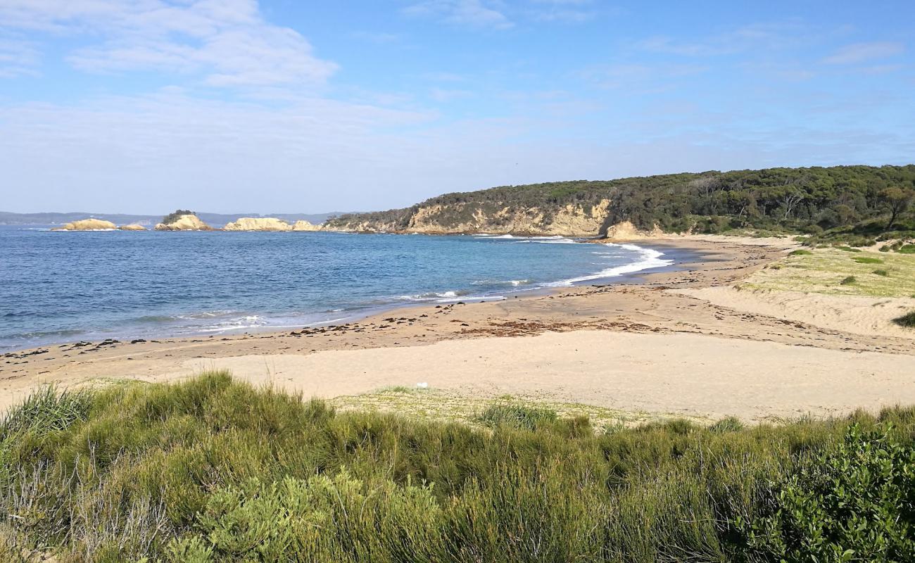 Photo de North Head Beach avec sable lumineux de surface