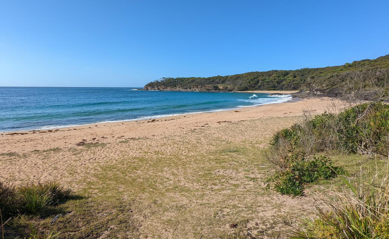 Photo de Emily Miller Beach avec sable lumineux de surface