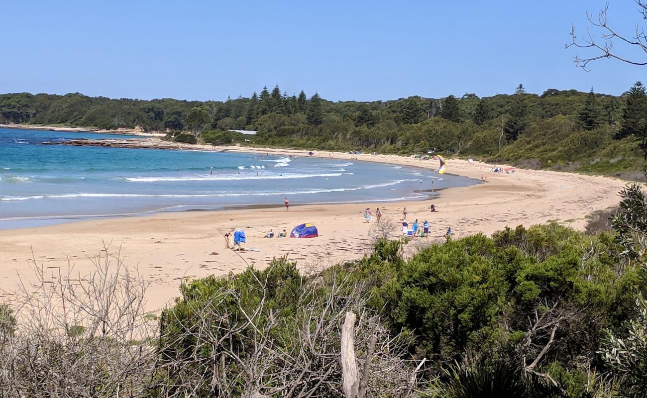 Photo de Cookies Beach avec sable beige de surface