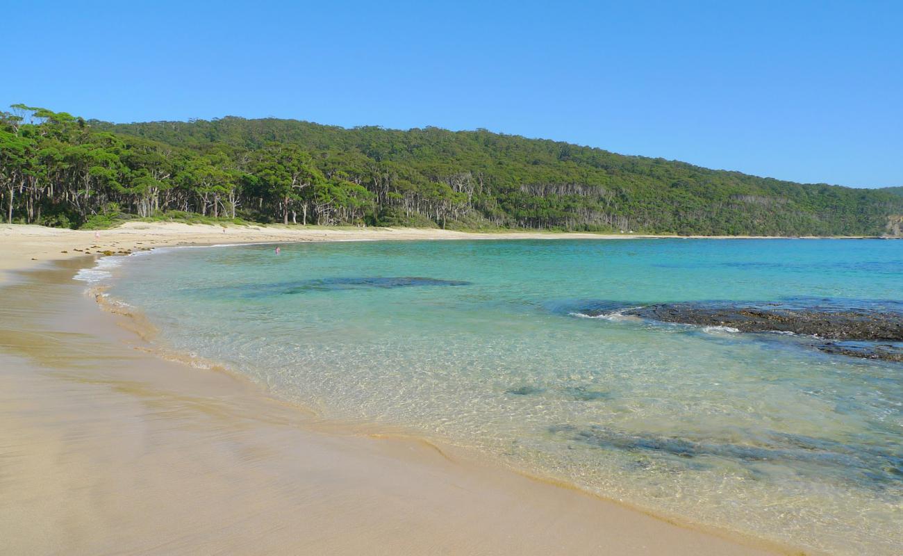 Photo de Depot Beach avec sable beige de surface