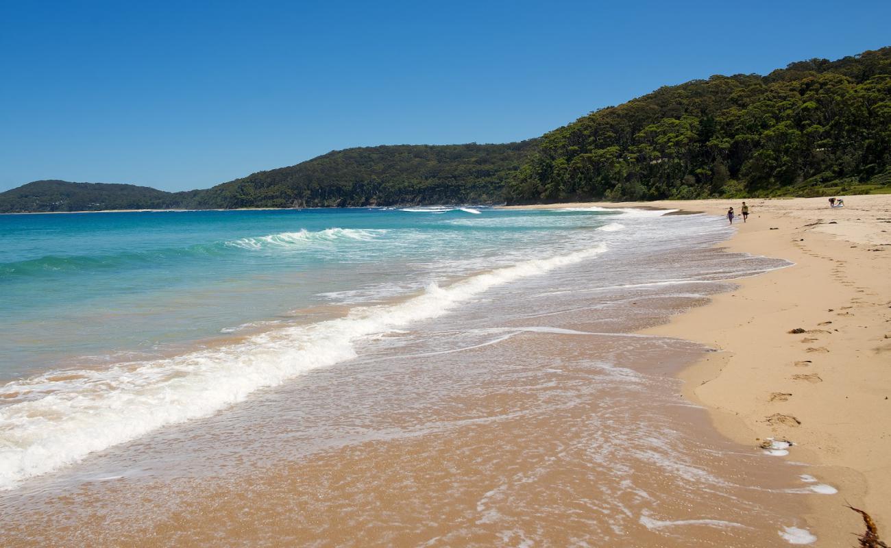 Photo de Pebbly Beach avec sable beige de surface