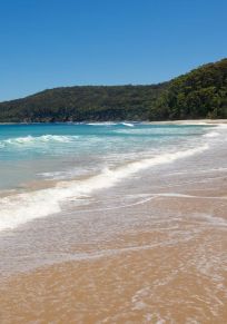 District de Shoalhaven