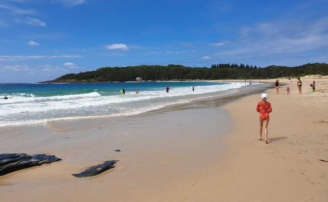 Photo de Kioloa Beach avec sable beige de surface