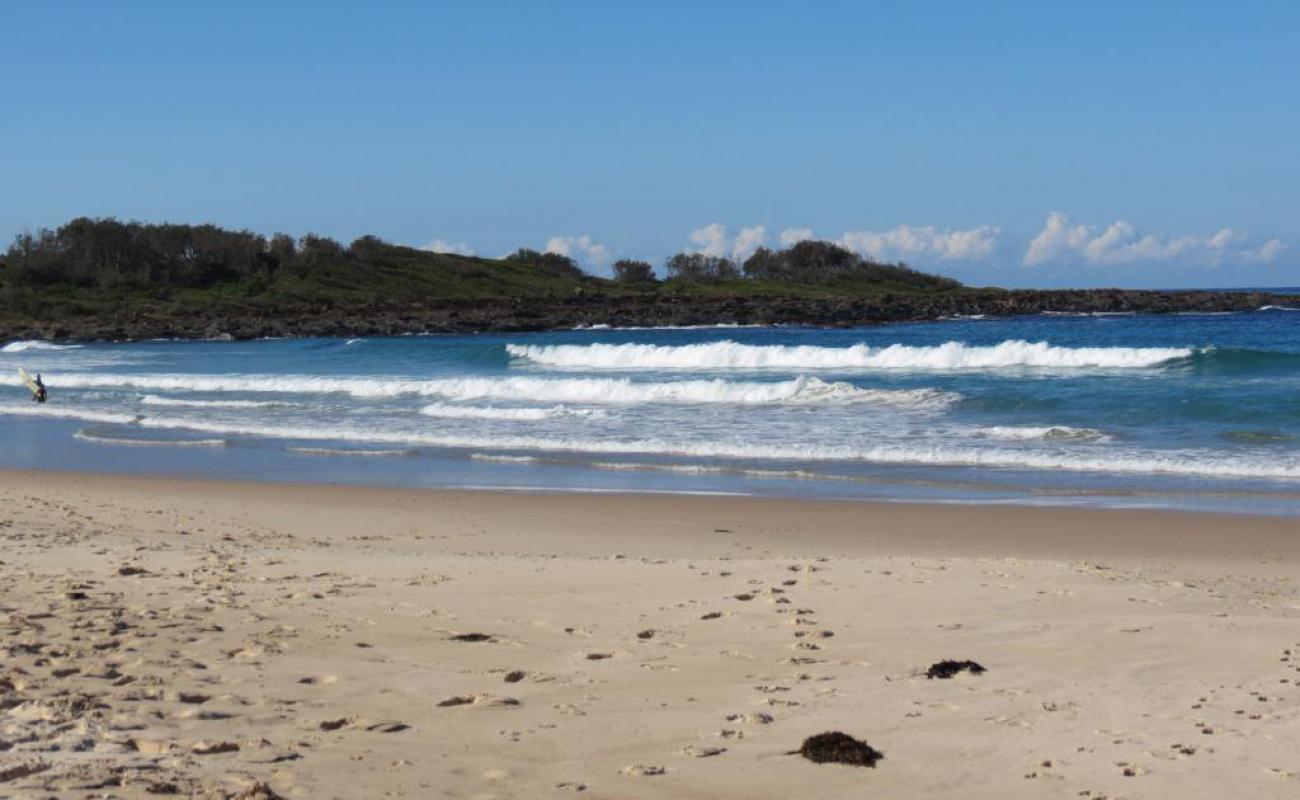 Photo de Shelly Beach avec sable beige de surface