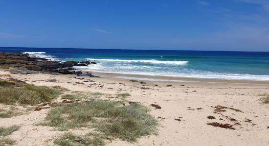 Bull Pup Beach