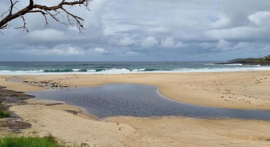 Cormorant Beach