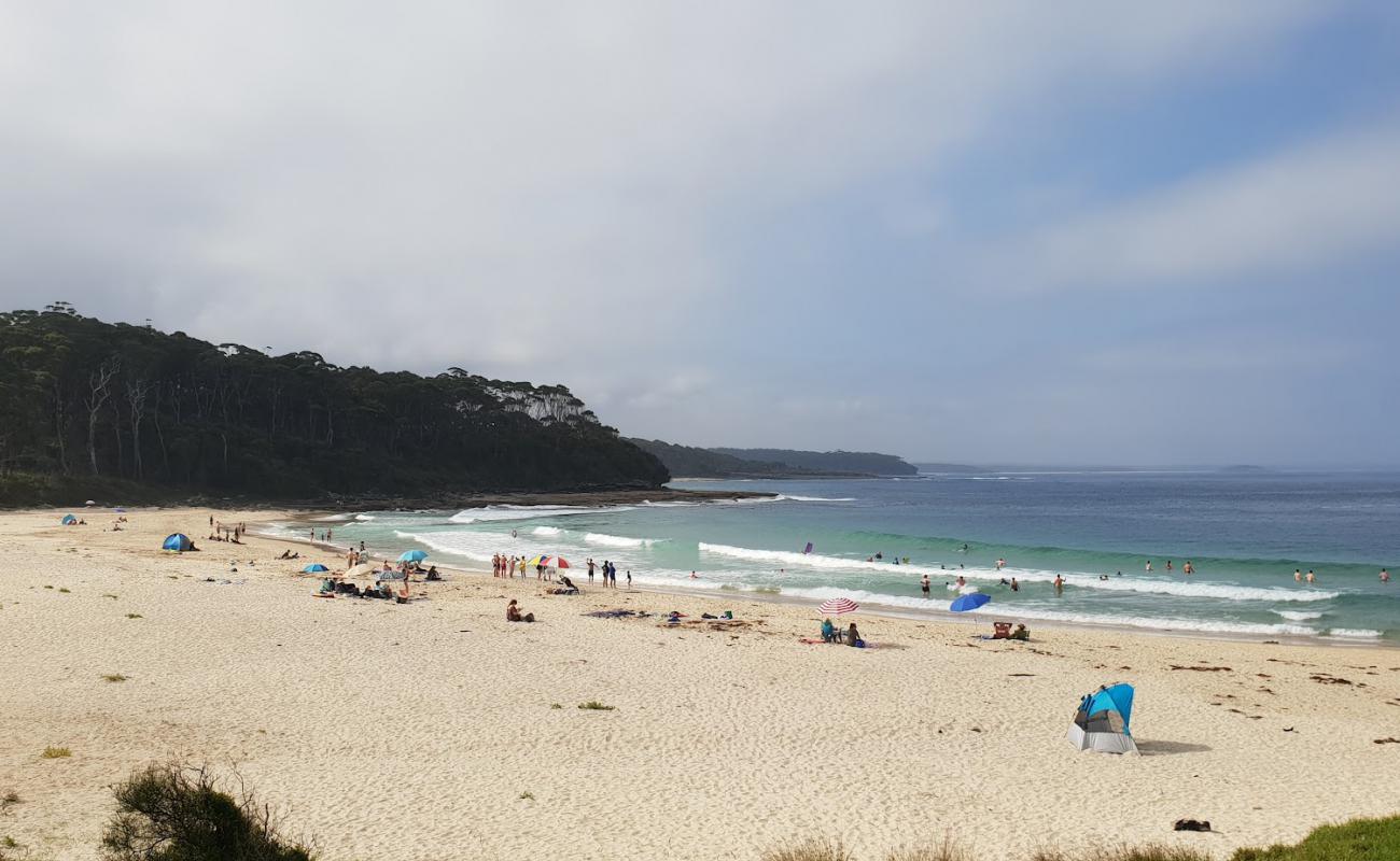 Photo de Bawley Beach avec sable beige de surface