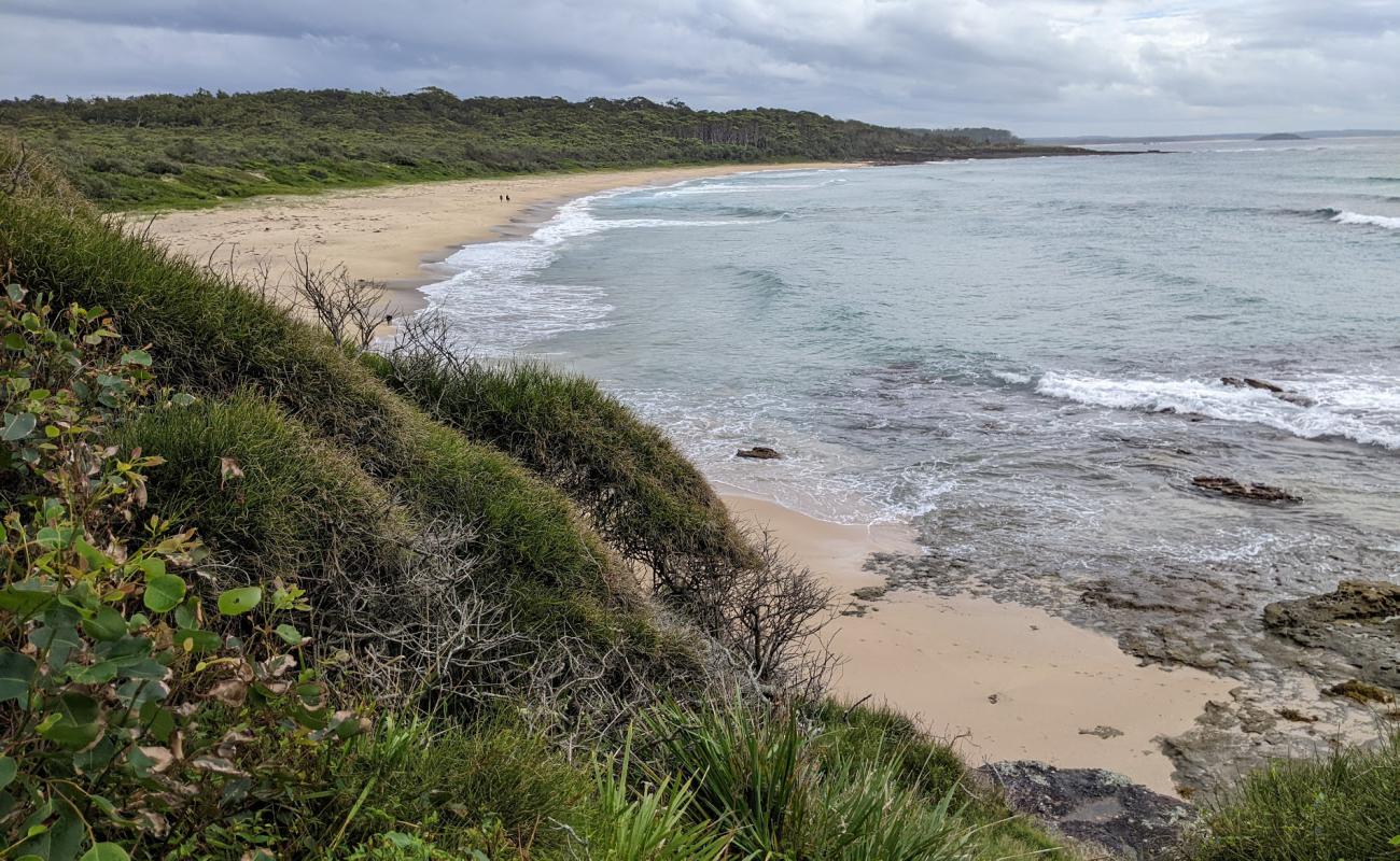 Photo de North Beach avec sable beige de surface