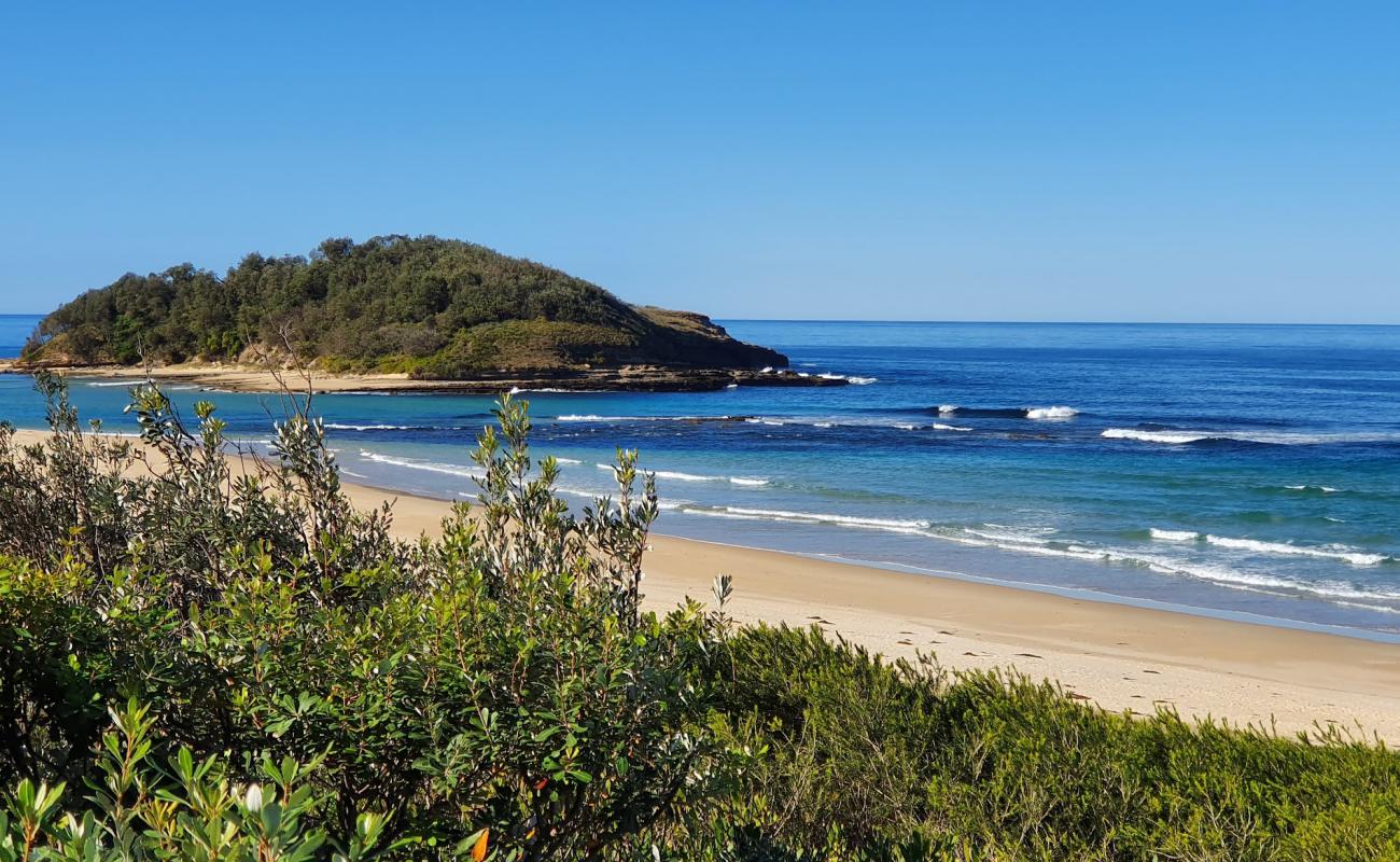 Photo de Tabourie Beach avec sable beige fin de surface