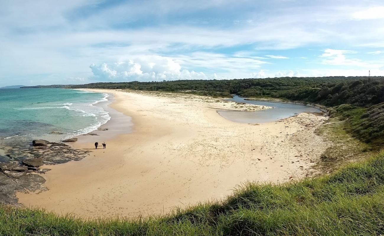 Photo de Racecourse Beach avec sable beige fin de surface