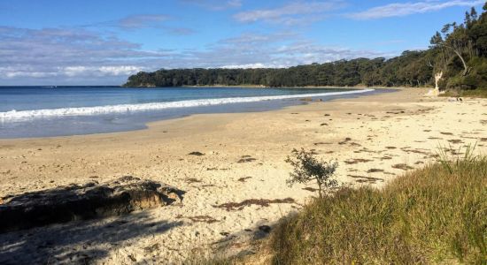 Washerwomans Beach