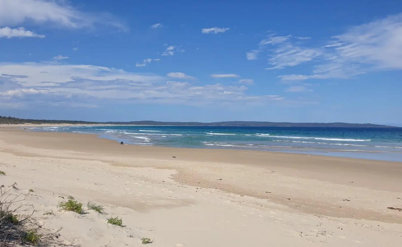 Photo de Bherwherre Beach avec sable lumineux de surface