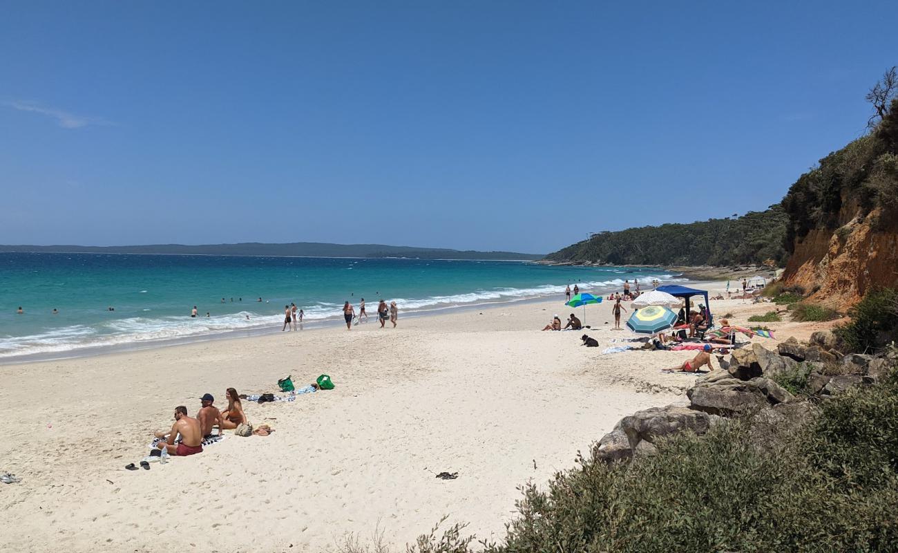 Photo de Nelsons Beach avec sable fin et lumineux de surface